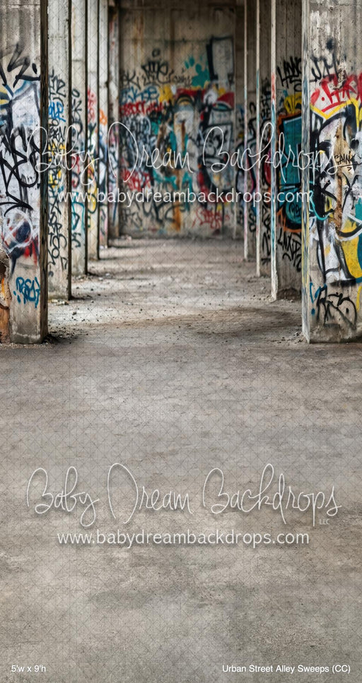 Urban Street Alley Sweeps (CC)