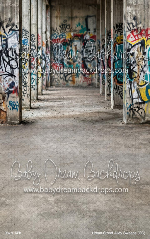 Urban Street Alley Sweeps (CC)