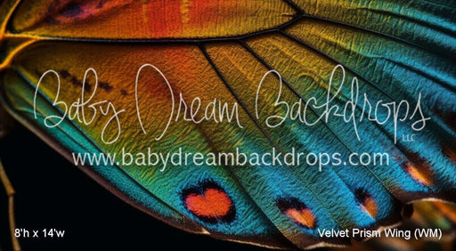 Velvet Prism Wing (WM)