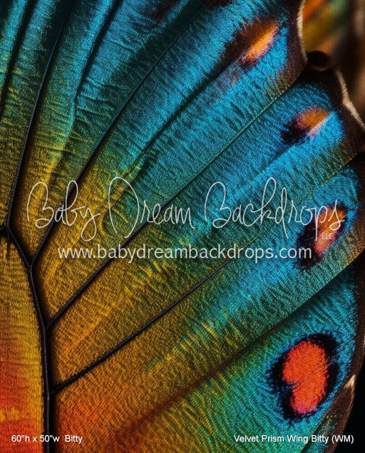 Velvet Prism Wing Bitty (WM)