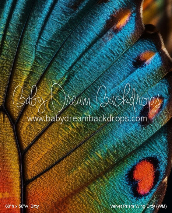 Velvet Prism Wing Bitty (WM)