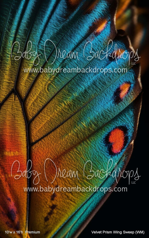 Velvet Prism Wing Sweep (WM)