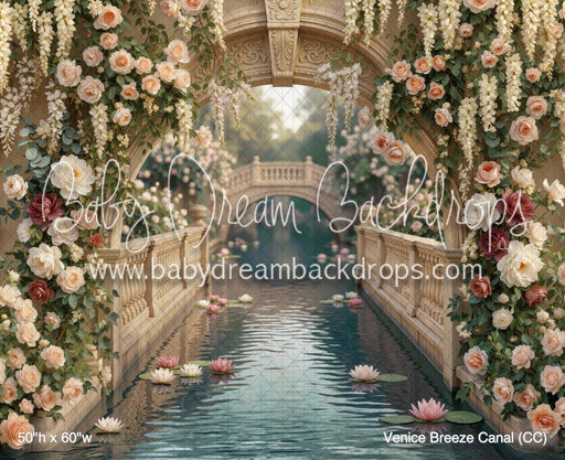 Venice Breeze Canal (CC)