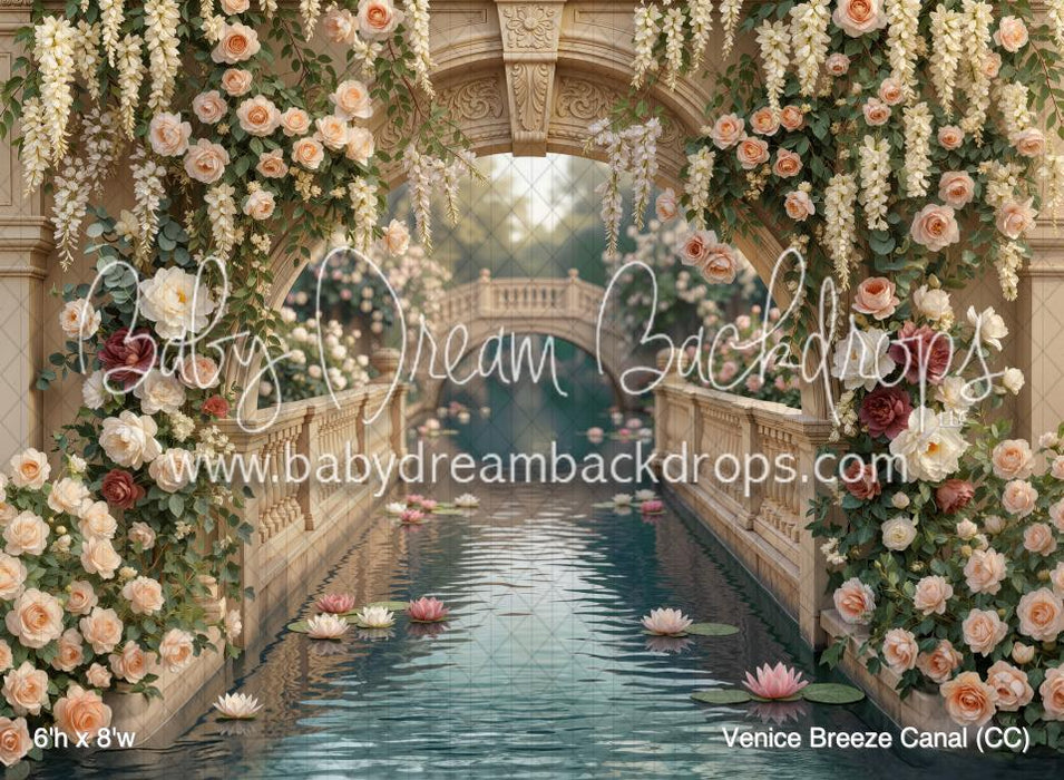 Venice Breeze Canal (CC)