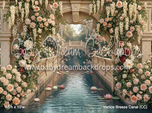 Venice Breeze Canal (CC)
