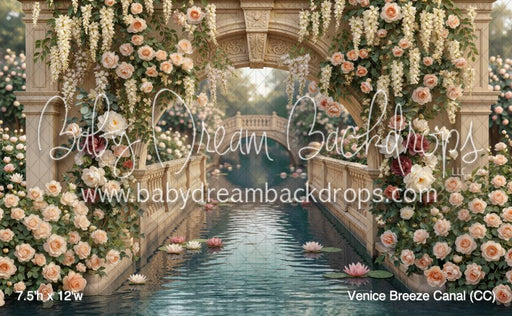 Venice Breeze Canal (CC)