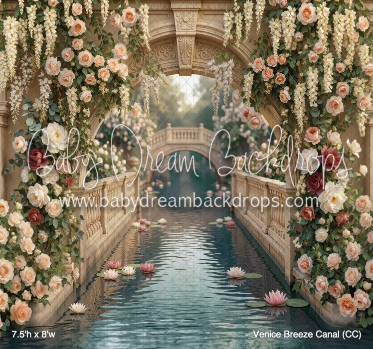 Venice Breeze Canal (CC)