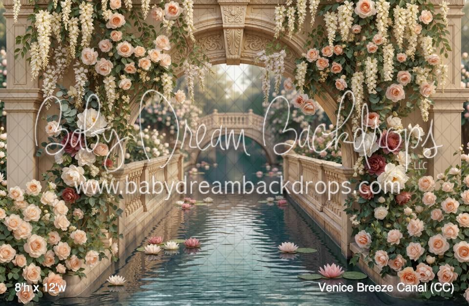Venice Breeze Canal (CC)