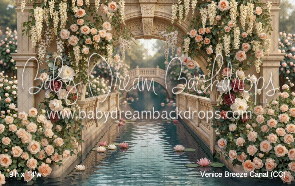 Venice Breeze Canal (CC)
