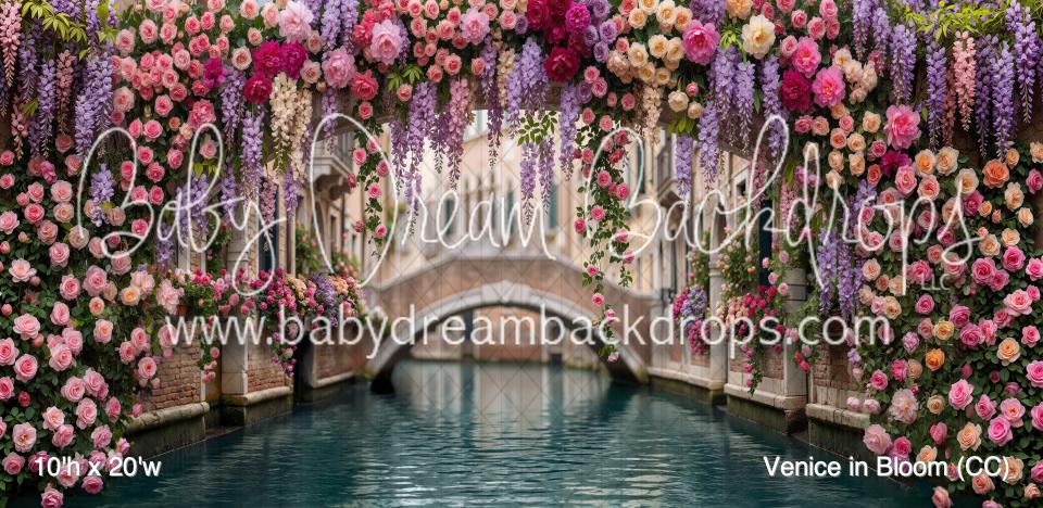 Venice in Bloom (CC)