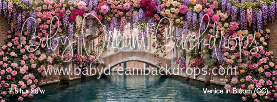 Venice in Bloom (CC)