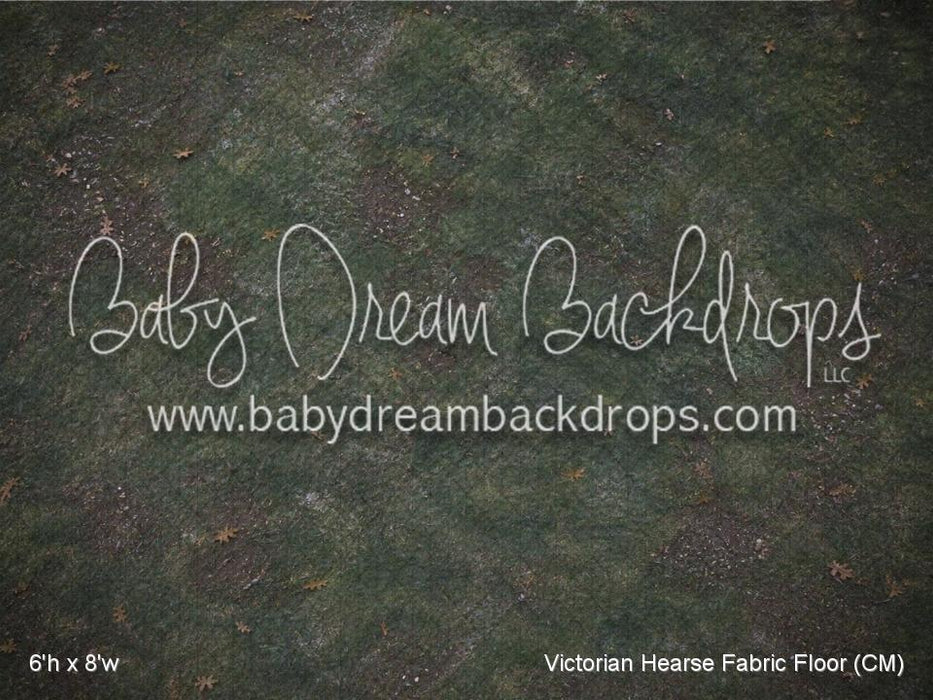 Victorian Hearse Fabric Floor (CM)