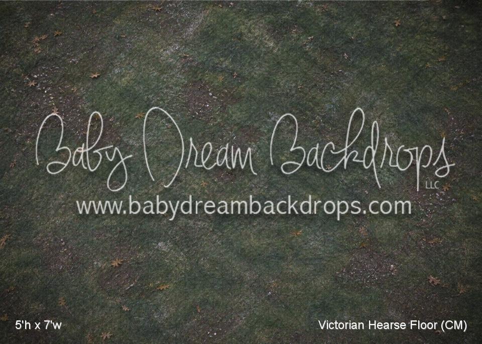 Victorian Hearse Fabric Floor (CM)