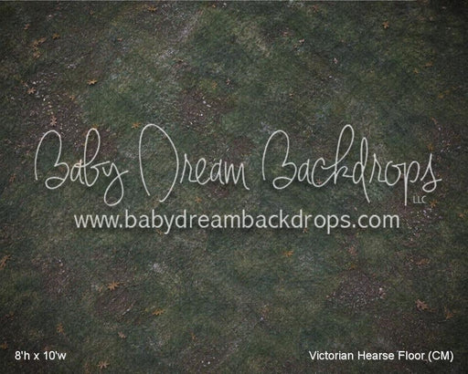 Victorian Hearse Fabric Floor (CM)