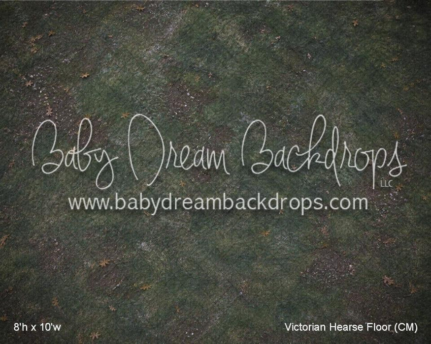 Victorian Hearse Fabric Floor (CM)