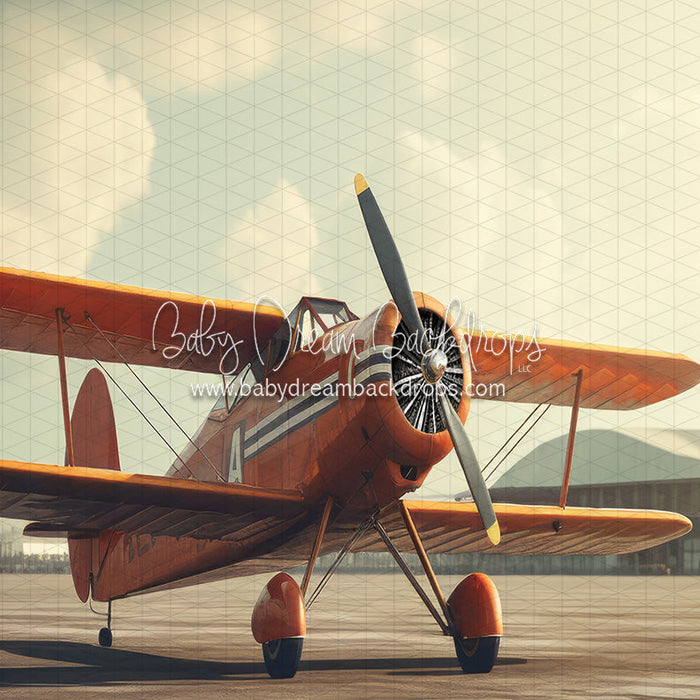 Vintage Air Show Outdoor (JA)