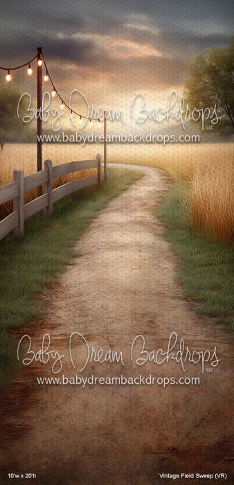 Vintage Field Sweep (VR)