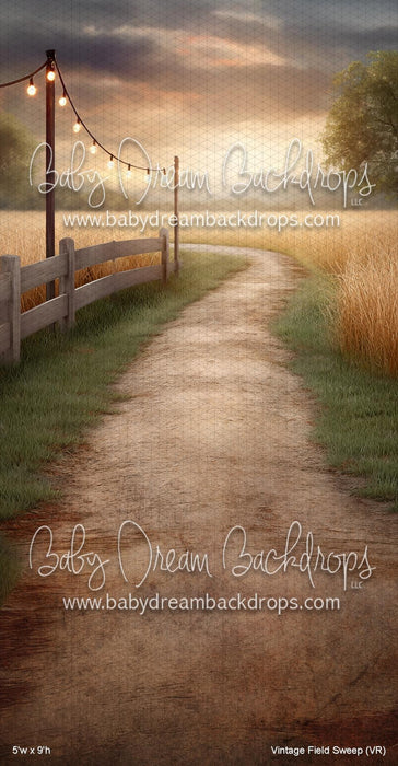 Vintage Field Sweep (VR)