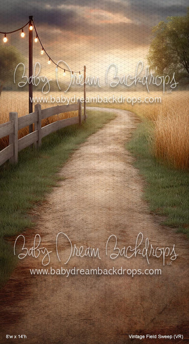 Vintage Field Sweep (VR)