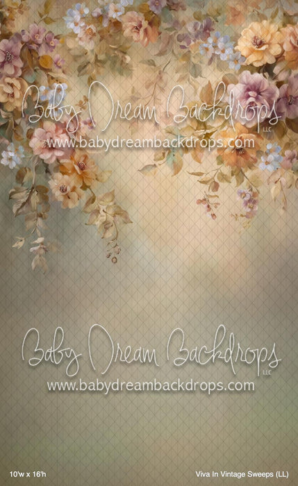 Viva In Vintage Sweeps (LL)