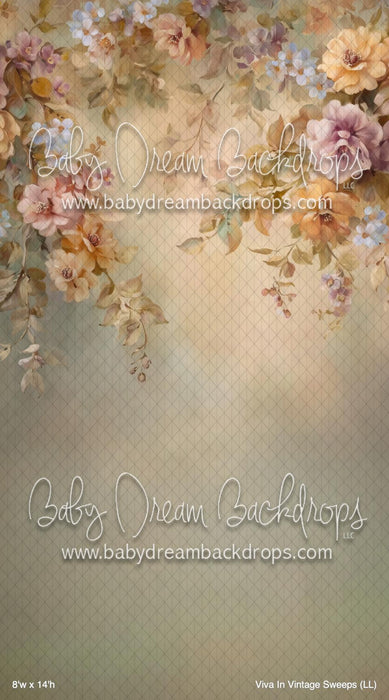 Viva In Vintage Sweeps (LL)