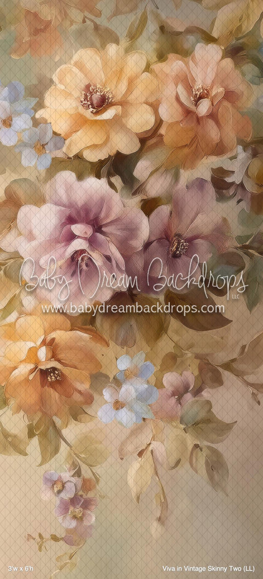 Viva in Vintage Skinny Two (LL)