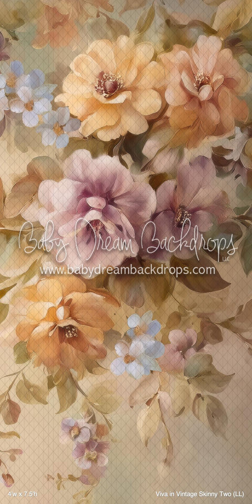 Viva in Vintage Skinny Two (LL)