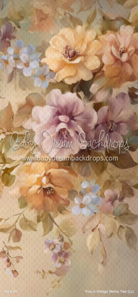 Viva in Vintage Skinny Two (LL)