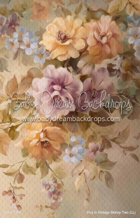 Viva in Vintage Skinny Two (LL)