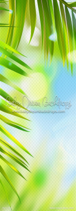 Waikiki Breeze Skinny (WM)