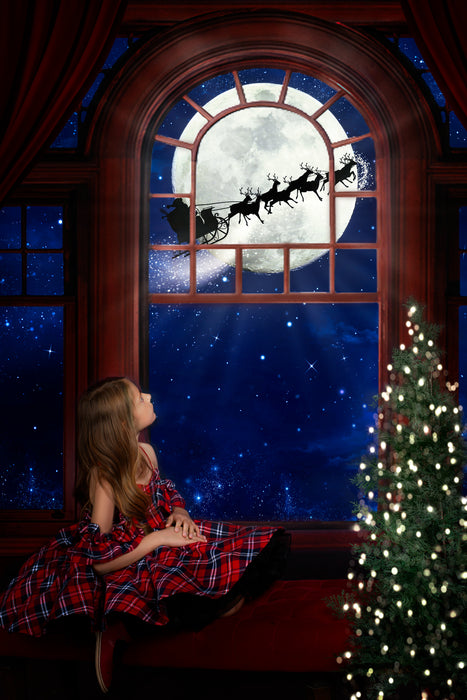 Waiting for Santa (WM)