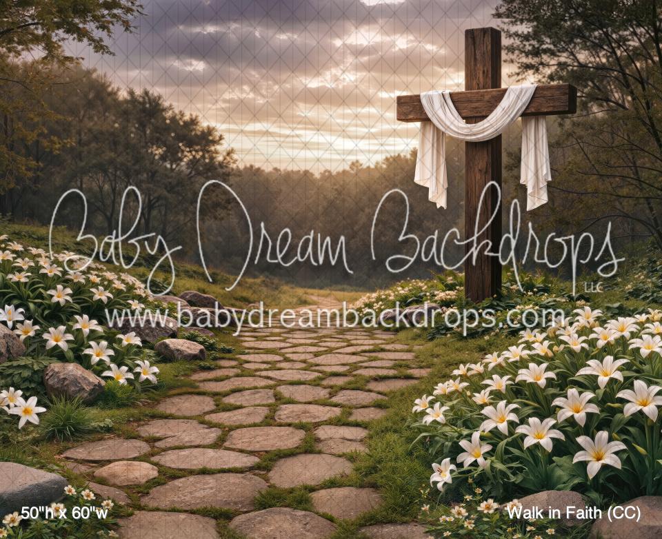 Walk in Faith (CC) — Baby Dream Backdrops
