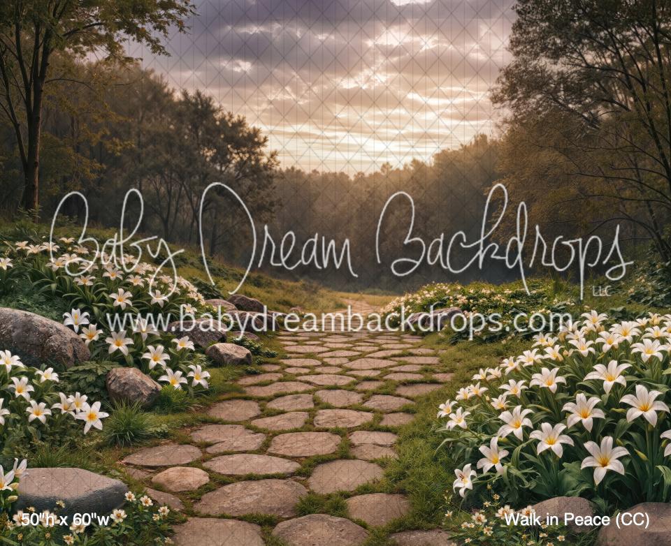 Walk In Backdrop Walk in Peace (CC) — Baby Dream Backdrops
