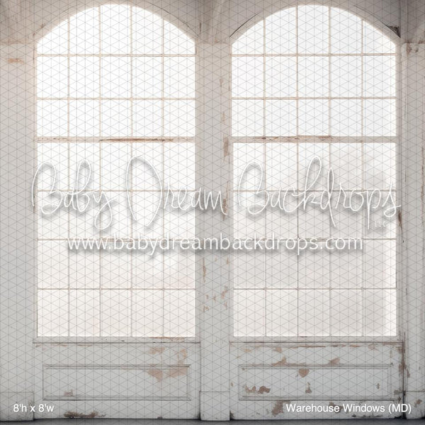 Warehouse Windows (MD)