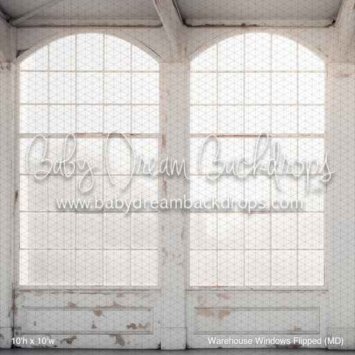 Warehouse Windows Flipped (MD)