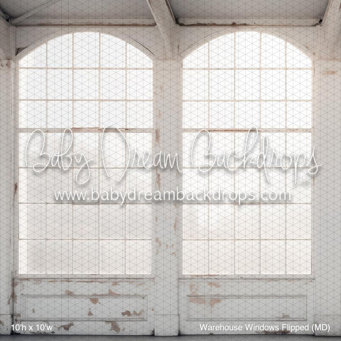 Warehouse Windows Flipped (MD)