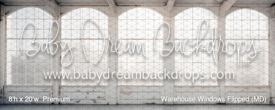 Warehouse Windows Flipped (MD)