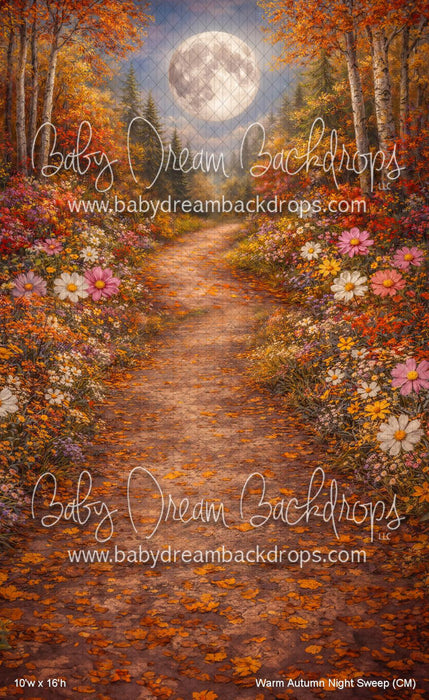 Warm Autumn Night Sweep (CM)