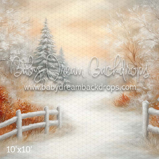 Warm Winter Path (CM)