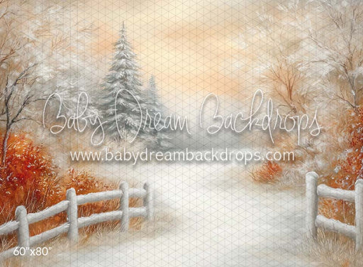 Warm Winter Path (CM)