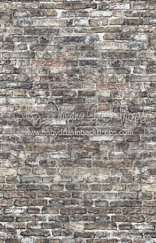 Watson Brick Skinny (CC)