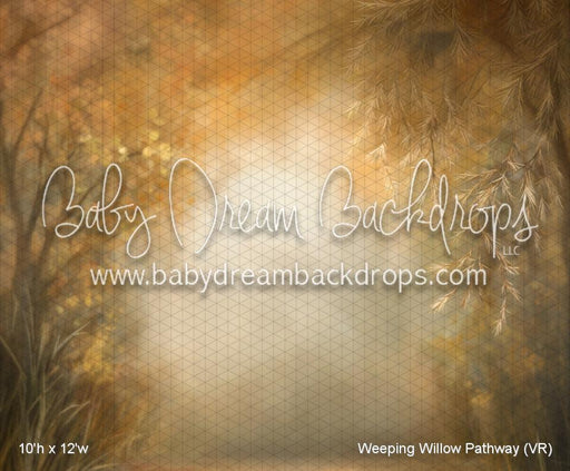 Weeping Willow Pathway (VR)