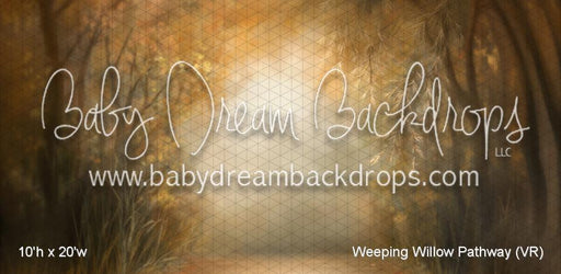 Weeping Willow Pathway (VR)