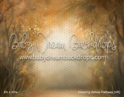 Weeping Willow Pathway (VR)