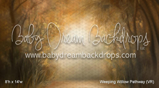 Weeping Willow Pathway (VR)