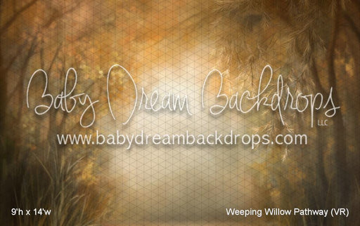 Weeping Willow Pathway (VR)