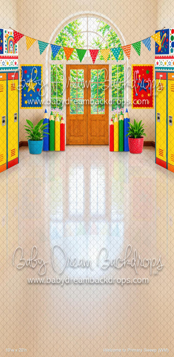 Welcome to Primary Sweep (WM)
