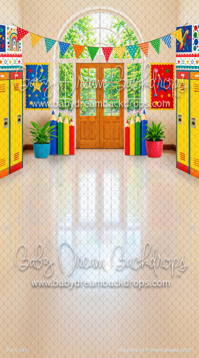 Welcome to Primary Sweep (WM)