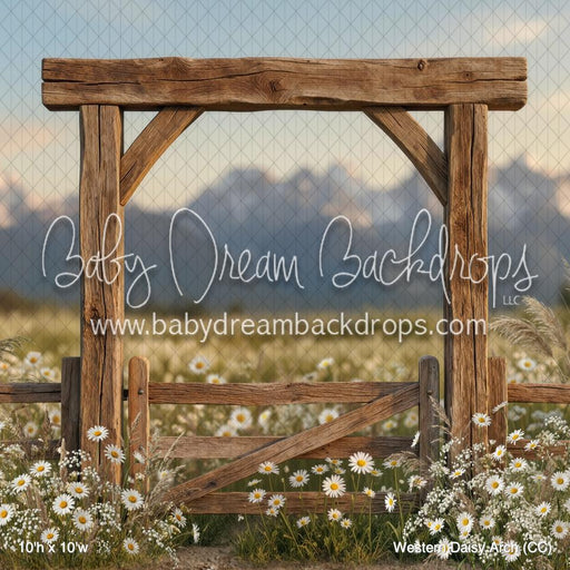 Western Daisy Arch (CC)