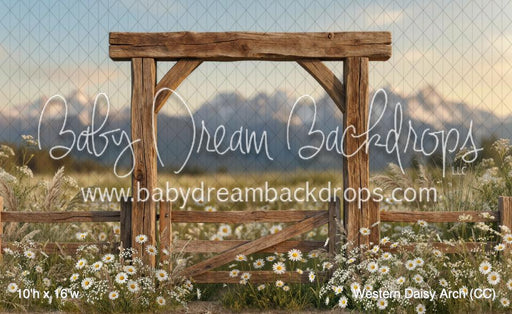 Western Daisy Arch (CC)